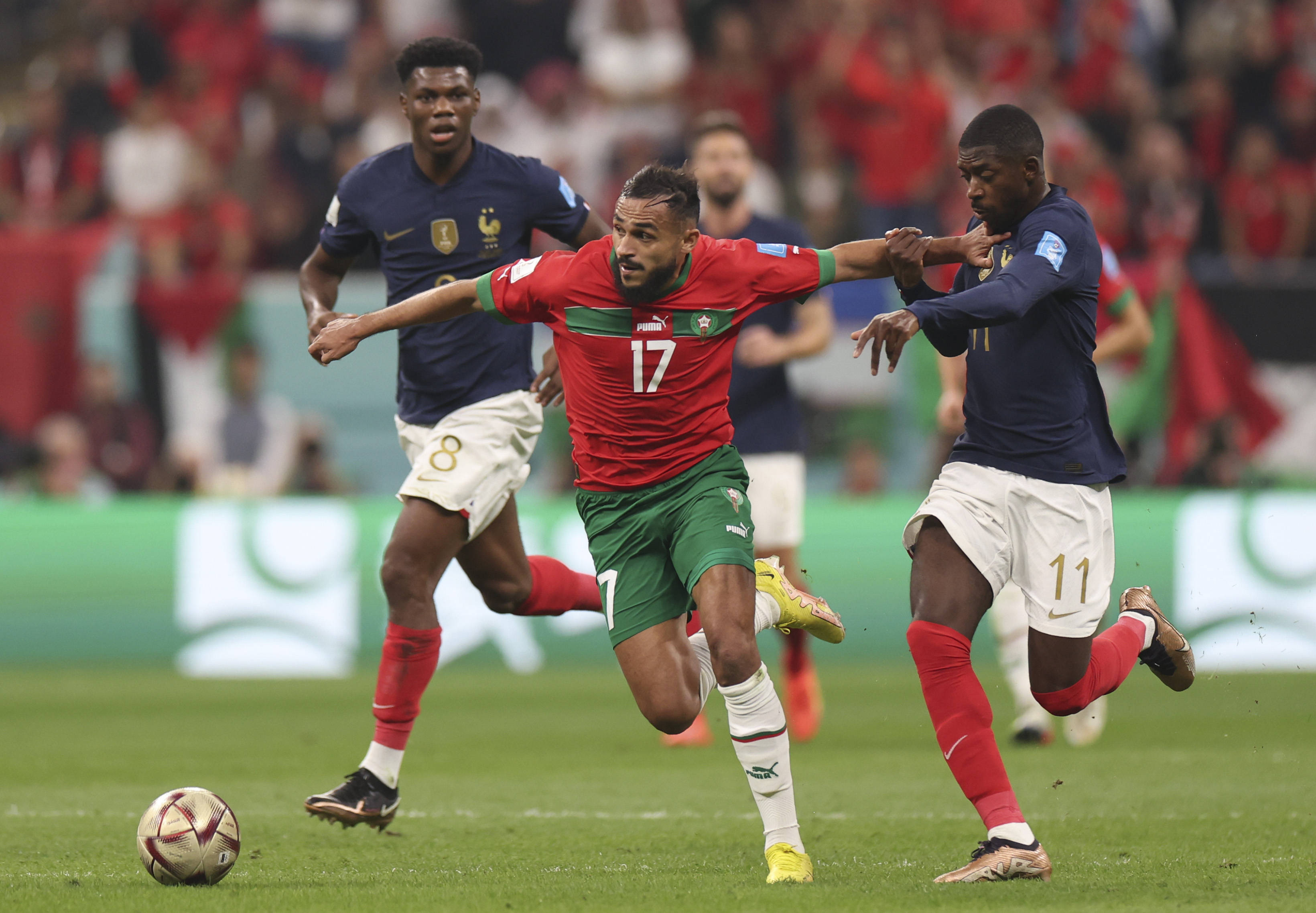 多次贡献出 多次贡献出